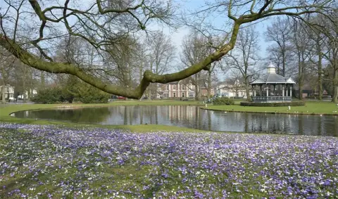 Kamer Kerklaan, Apeldoorn - Te huur