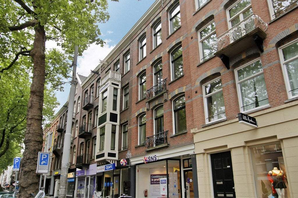 Afbeelding 3 van 23