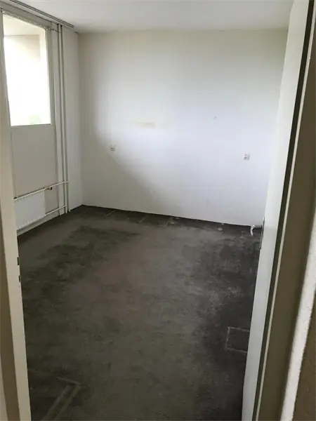 Image 7 of 12