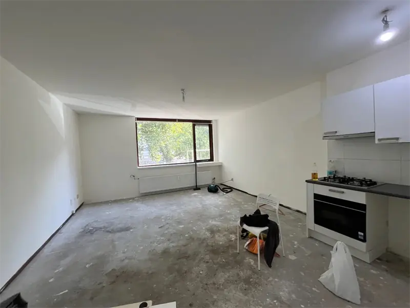 Image 10 of 10