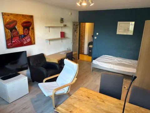 Habitación Wassenaarseweg, Leiden - En alquiler