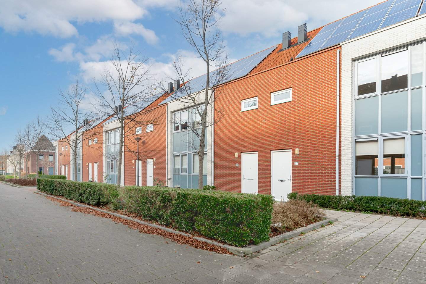 Afbeelding 1 van 12