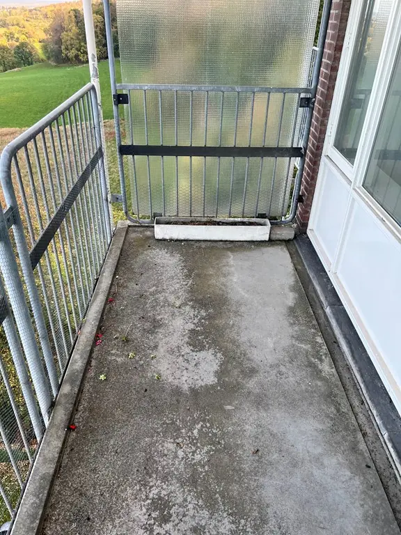 Afbeelding 11 van 13
