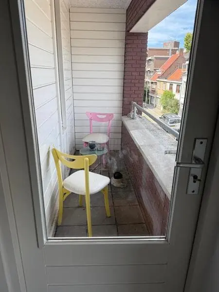 Image 4 of 19