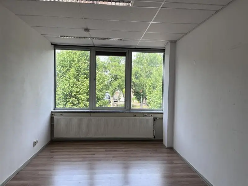 Image 6 of 12