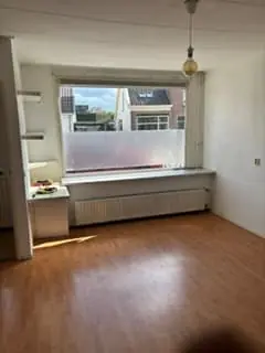 Image 2 of 9