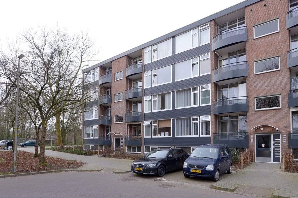 Afbeelding 1 van 12