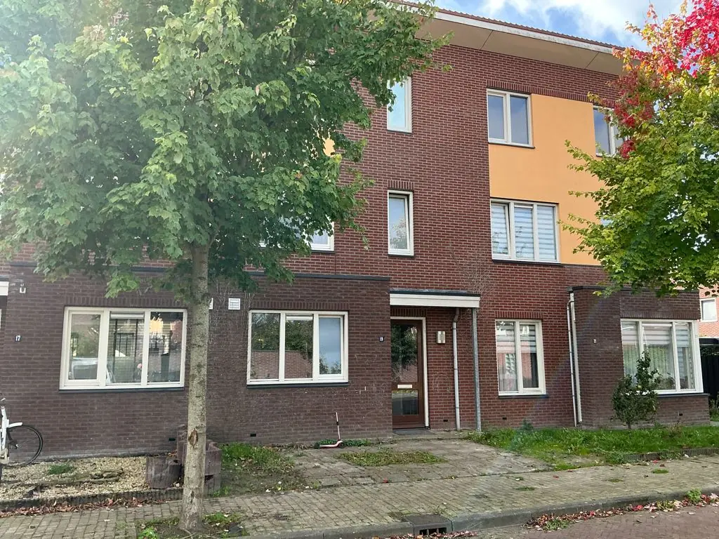 Afbeelding 3 van 4