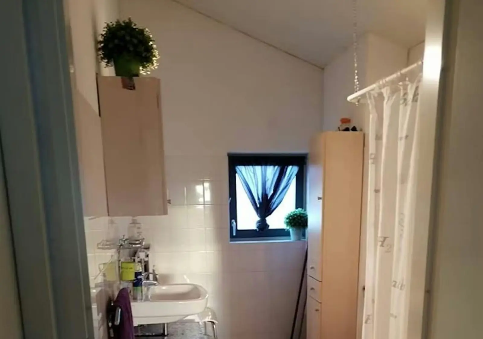 Image 4 of 24