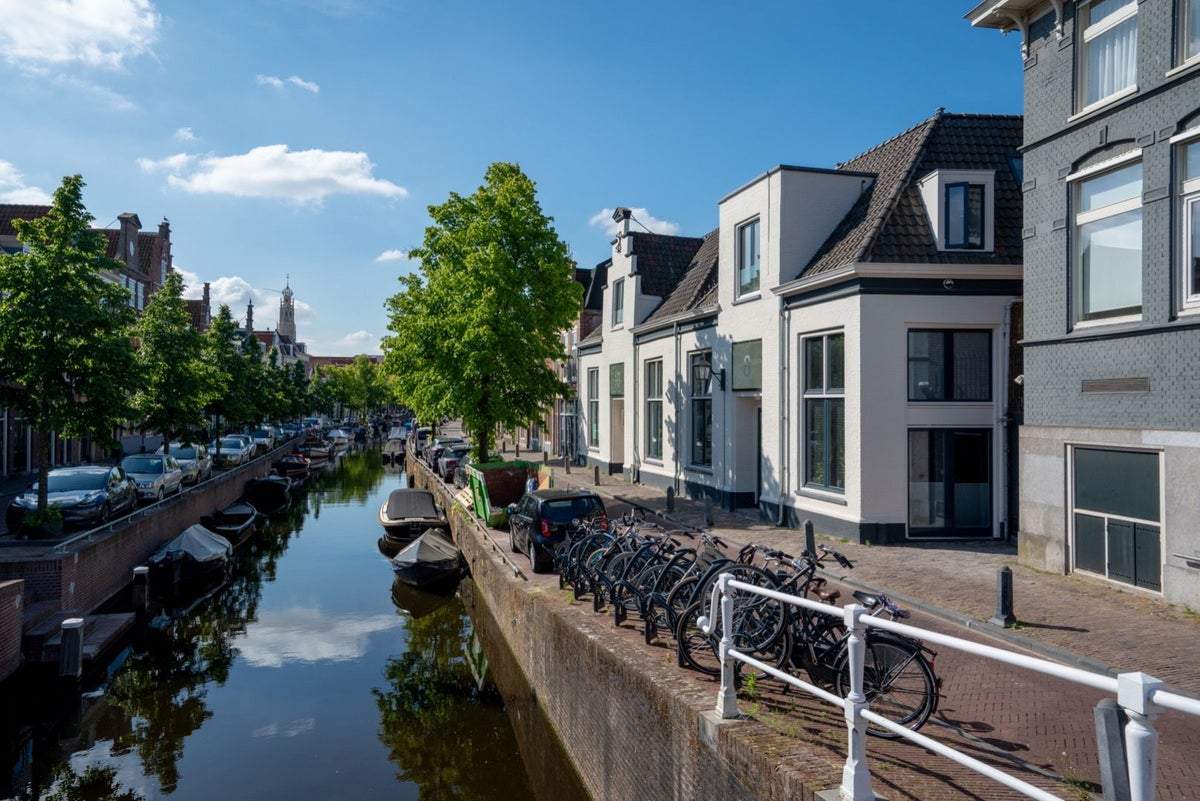 Afbeelding 1 van 20