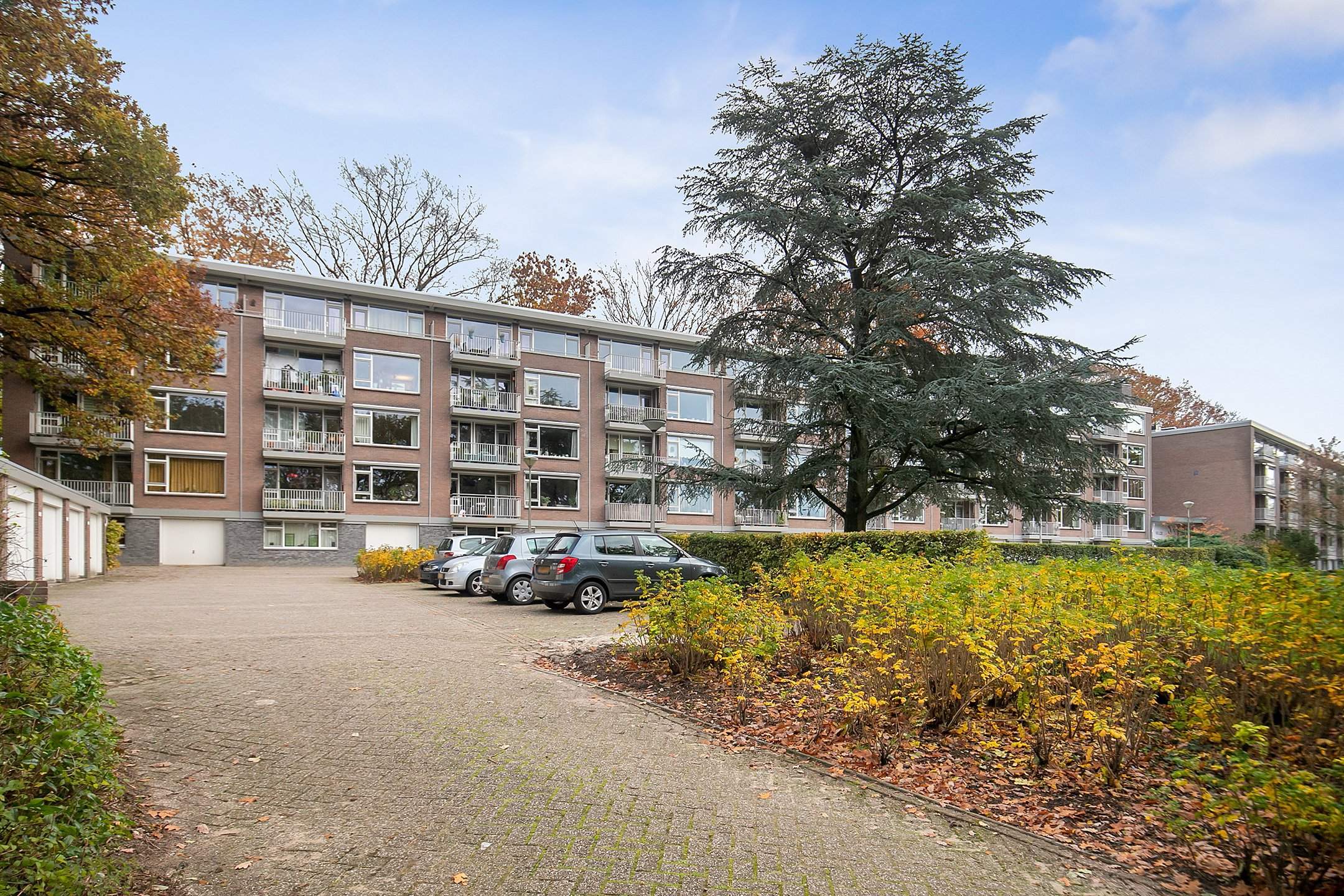 Afbeelding 20 van 25