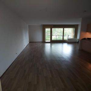 Image 2 of 7
