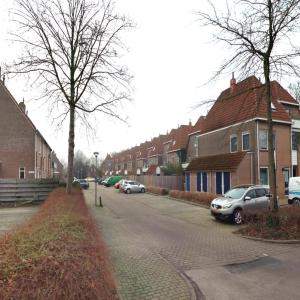 Afbeelding 5 van 7