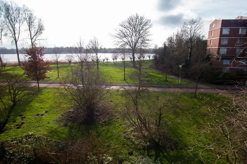 Image 20 of 28