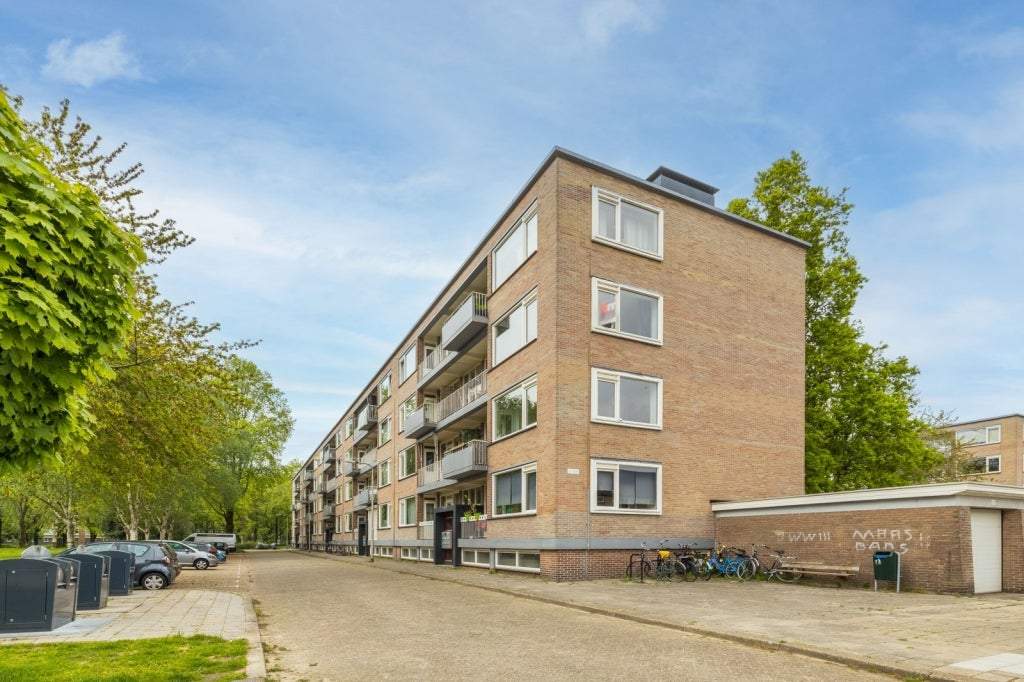 Afbeelding 1 van 20