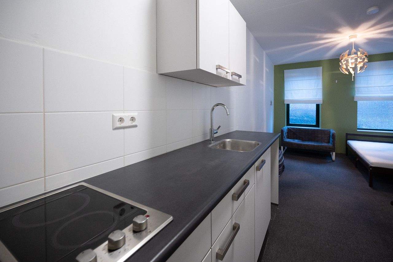 Afbeelding 8 van 11