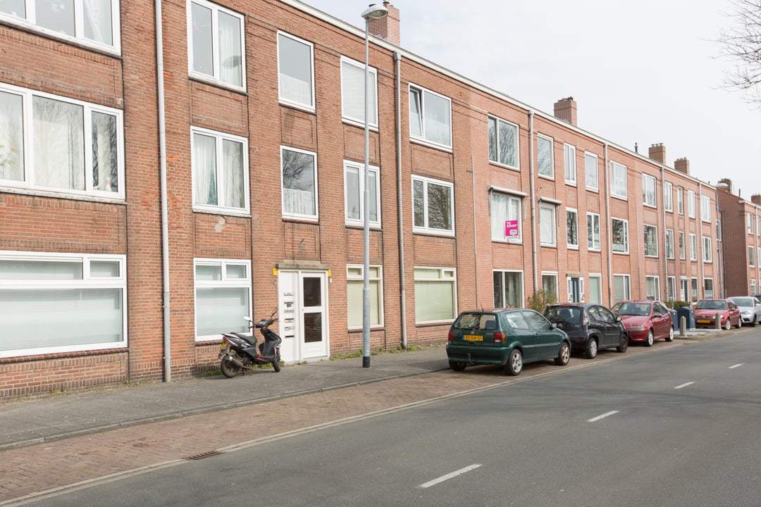 Afbeelding 2 van 12