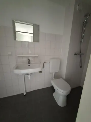 Eengezinswoning Ada van Hollandstraat, Delft - For Rent