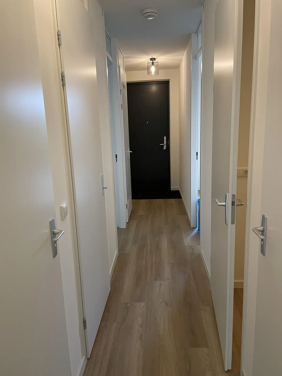 Afbeelding 5 van 21