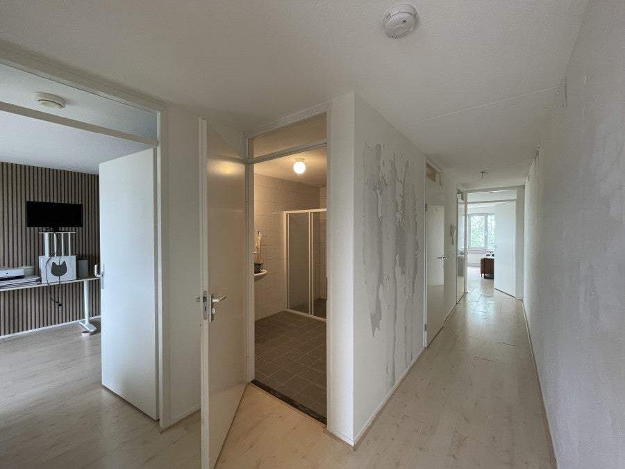 Bild 2 von 19