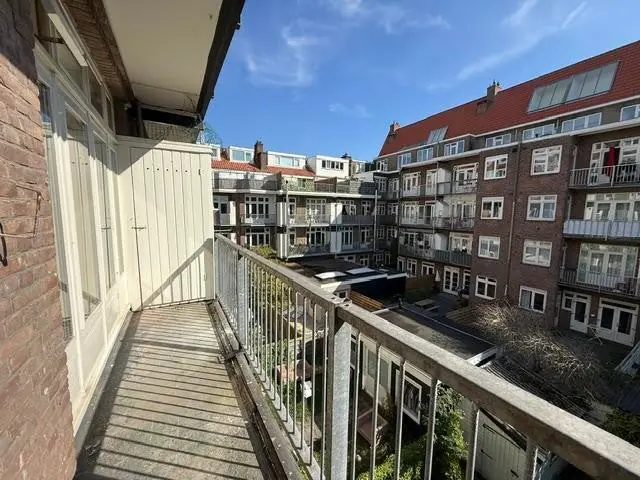 Image 12 of 13