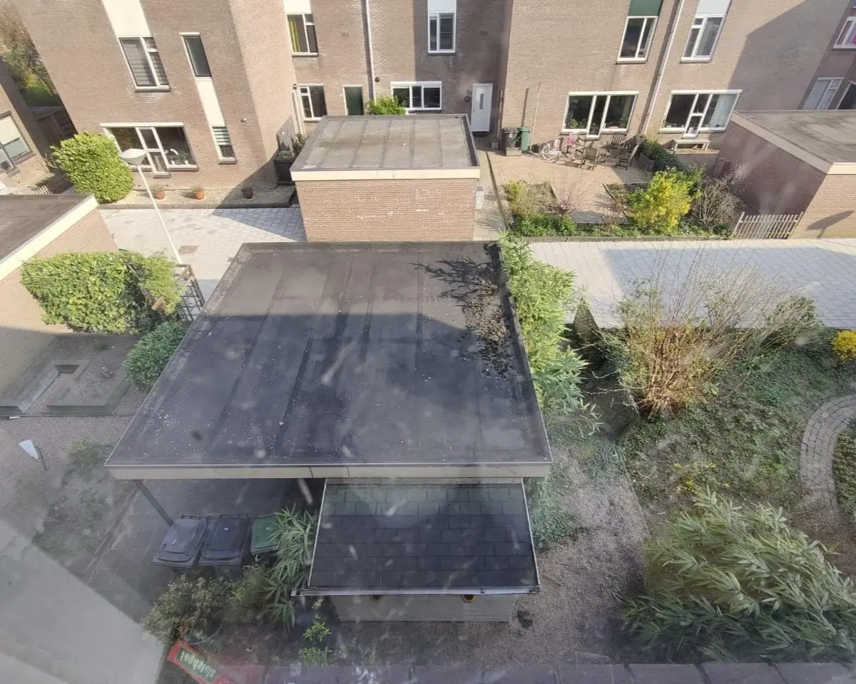 Image 7 of 8