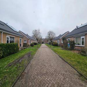 Afbeelding 3 van 4