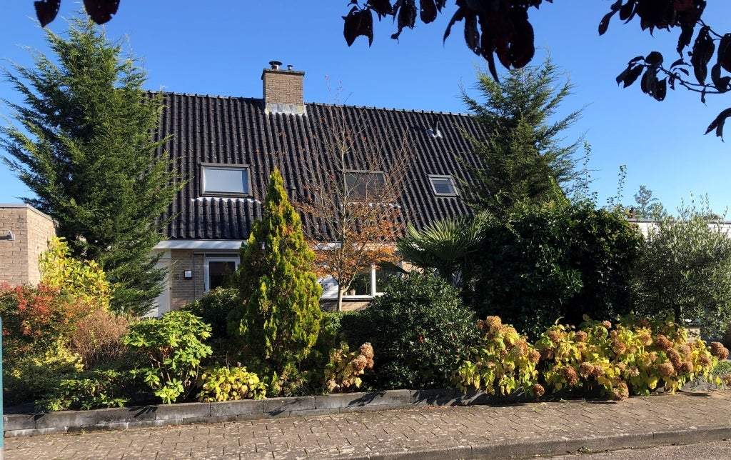 Afbeelding 3 van 20