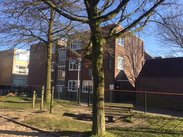 Afbeelding 1 van 1