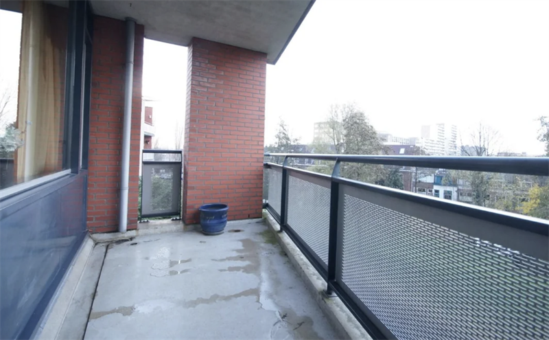 Bild 7 von 8