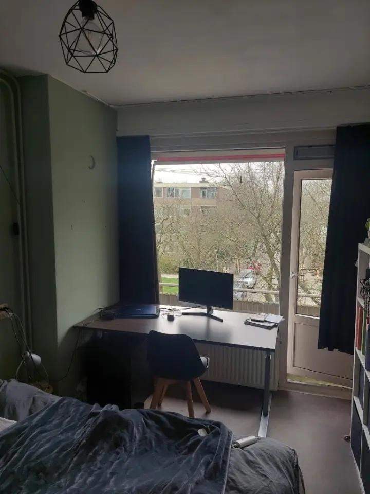 Afbeelding 2 van 4
