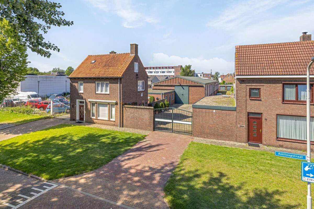 Afbeelding 1 van 12