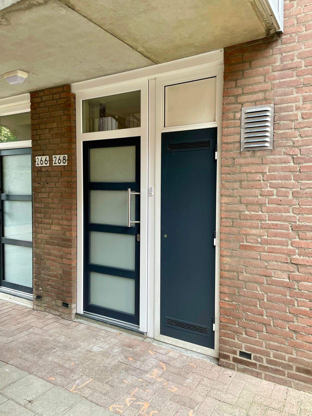 Afbeelding 1 van 1