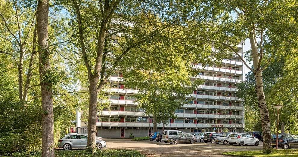 Afbeelding 2 van 11