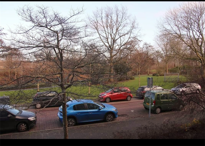 Afbeelding 1 van 15