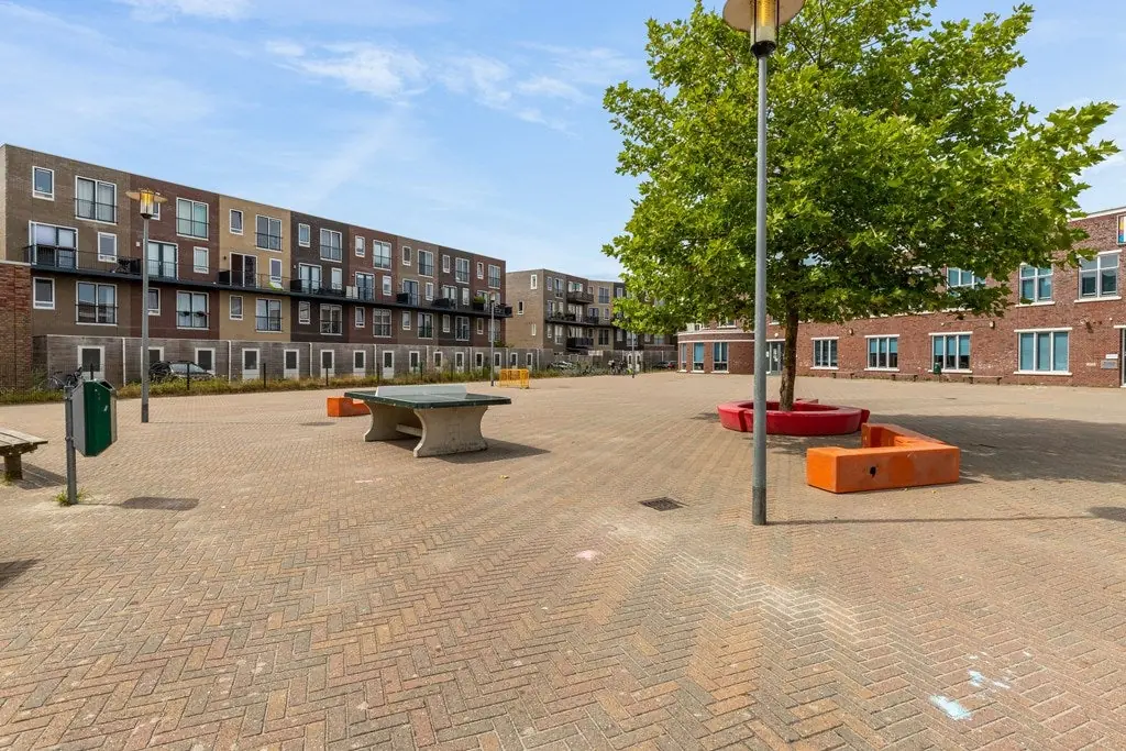 Image 15 of 15
