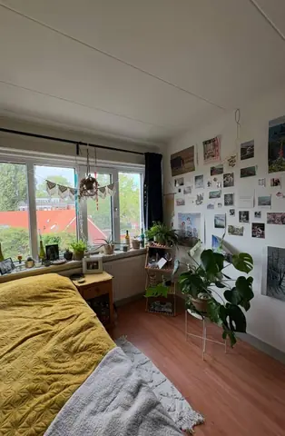 Habitación sin amueblar en Ceramstraat, Groningen - En alquiler