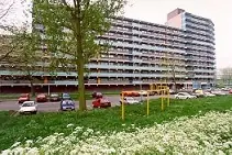 Afbeelding 3 van 3