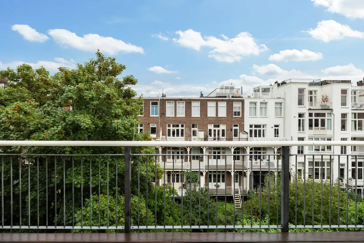Image 11 of 50