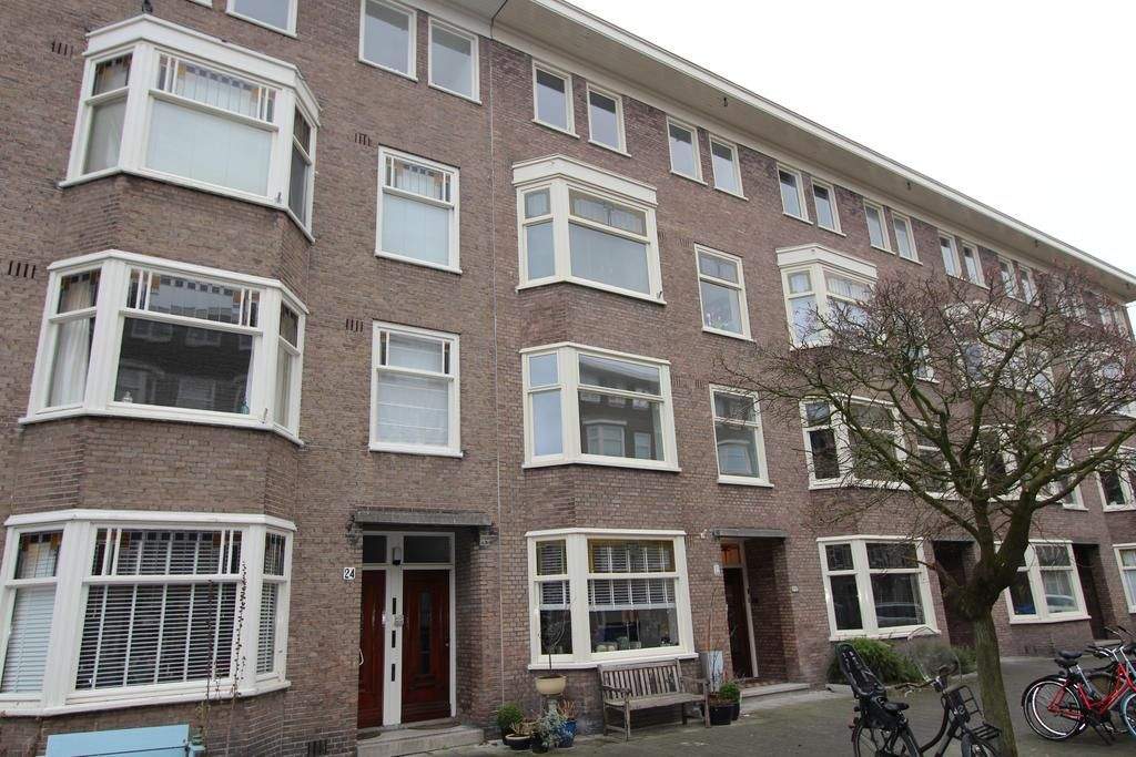 Afbeelding 1 van 12
