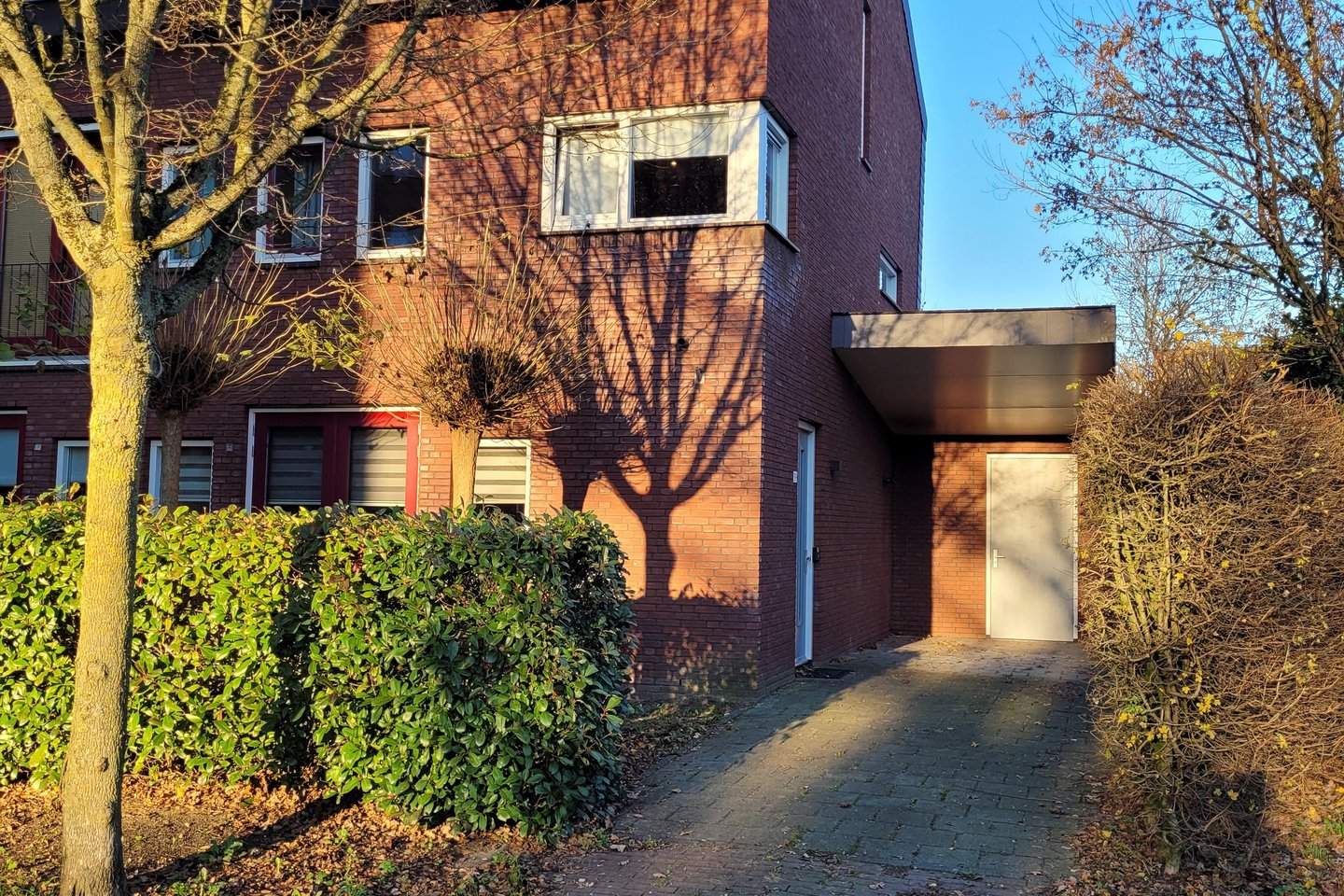 Afbeelding 1 van 12