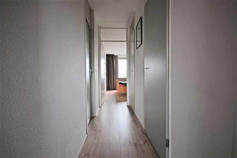 Image 6 of 12