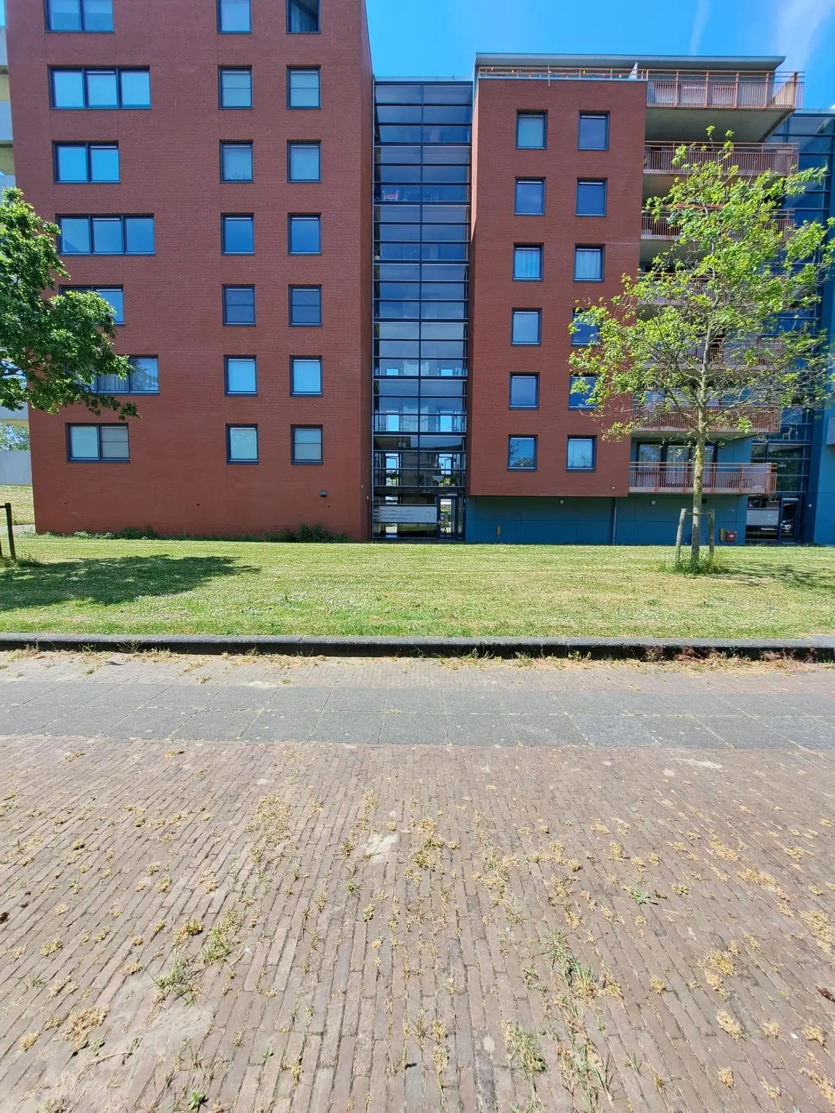 Image 2 of 20