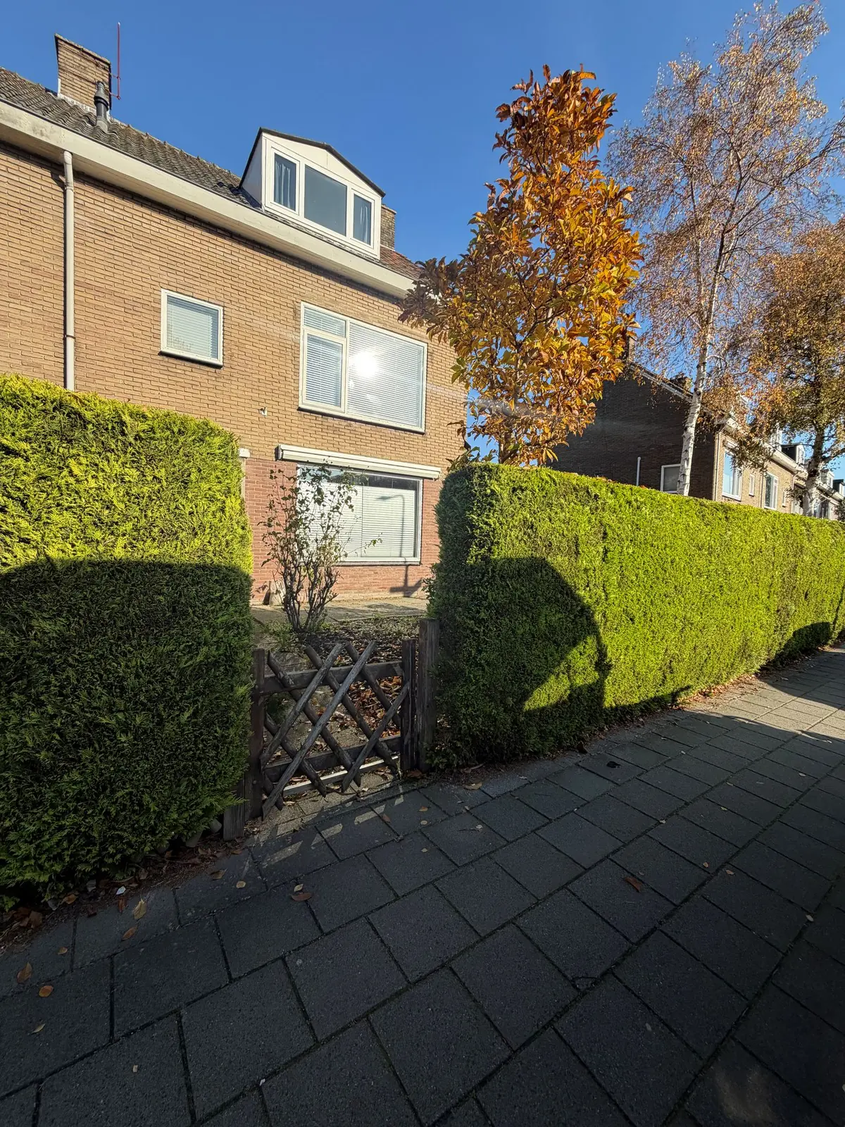 Afbeelding 20 van 22