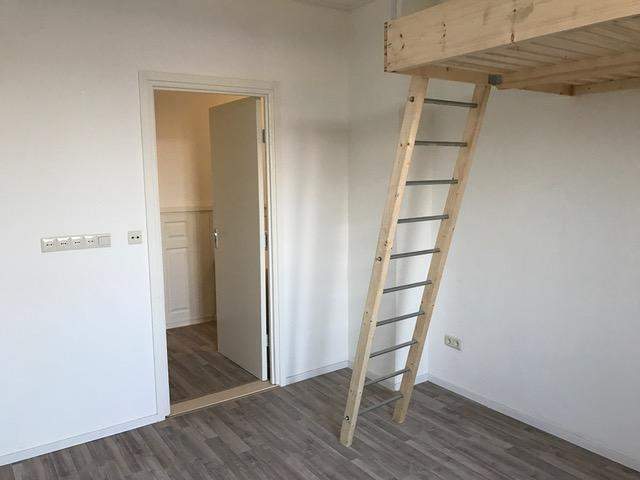Afbeelding 3 van 6
