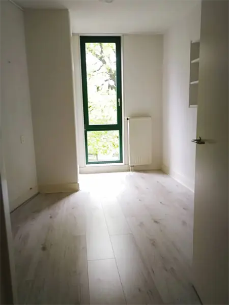 Image 7 of 19