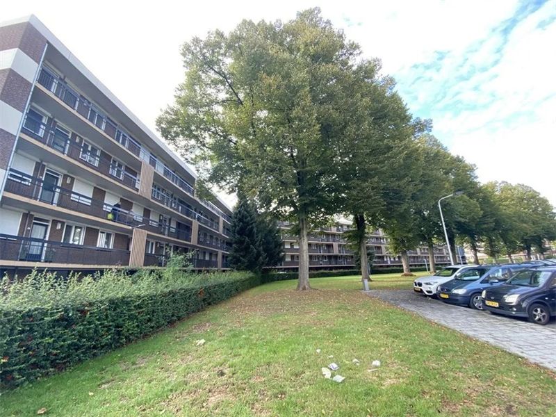 Image 20 of 21
