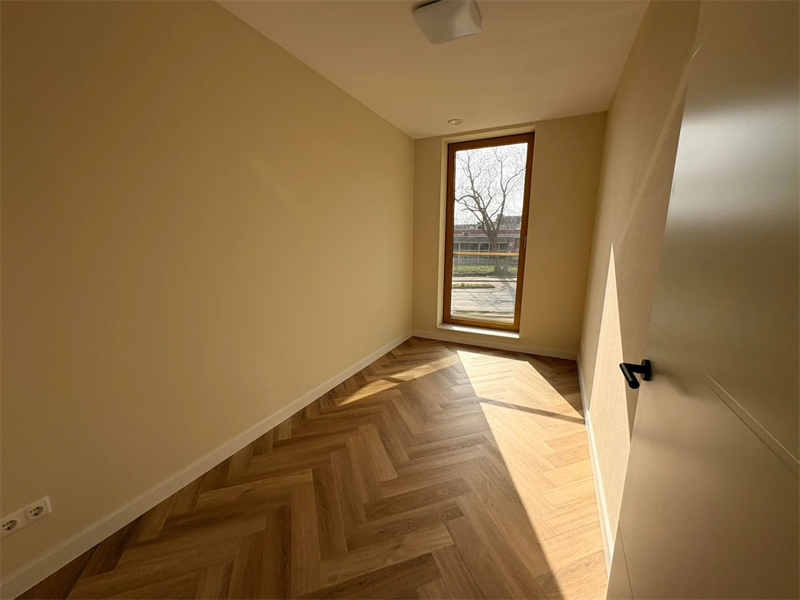 Image 10 of 13