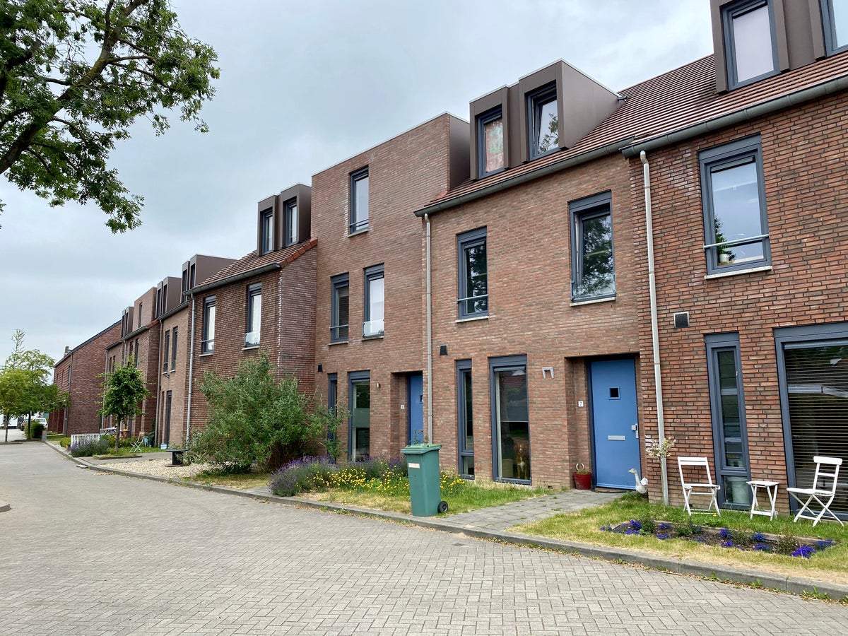 Afbeelding 1 van 1