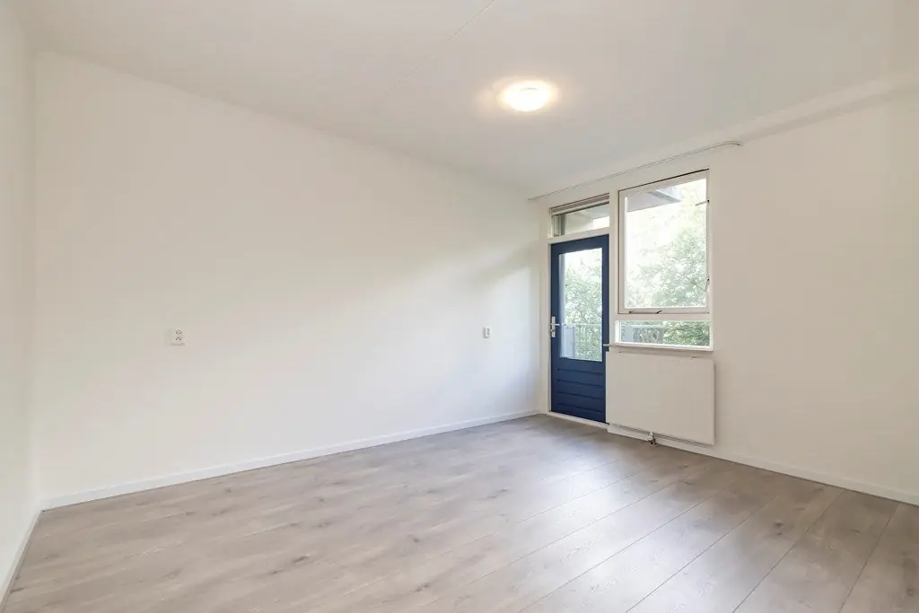 Image 10 of 22